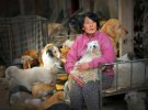 Бывшая учительница Ян Сяо Юн потратила более 614 тыс. грн на выкуп собак накануне фестиваля.