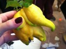 В форме этого лимона можно разглядеть слоненка