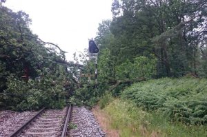 Ураган в Польше повалил деревья и повредил дома. Погиб один человек.