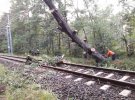 Ураган в Польше повалил деревья и повредил дома. Погиб один человек.