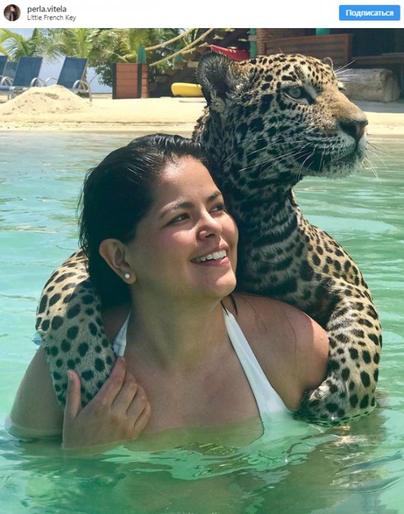 Туристи публікують вражаючі фото купання з ягуарами