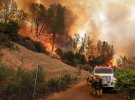 Через лісові пожежі в Північній Каліфорнії евакуювали понад 1,5 тис. мешканців