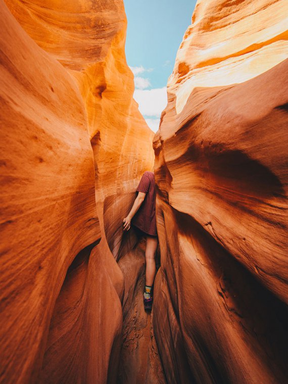 Категорія "Люди і природа"