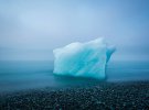 Кращі роботи фотоконкурсу всесвітньої організації The Nature Conservancy