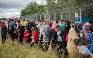 В Европе будут создавать центры по приему беженцев. Фото: Тahar