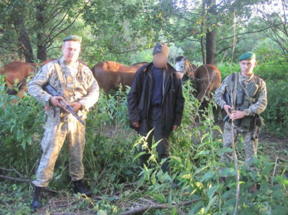 Селянин незаконно переганяв коней до Росії