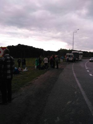 На трассе в Ровенской области перевернулся автобус, пострадали 6 человек. Фото: ДСНС