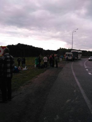 На трасі у Рівненській області перевернувся автобус, постраждало 6 людей. Фото: ДСНС