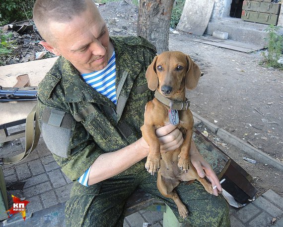 Бойовики ДНР на передовій позиції "Туман"