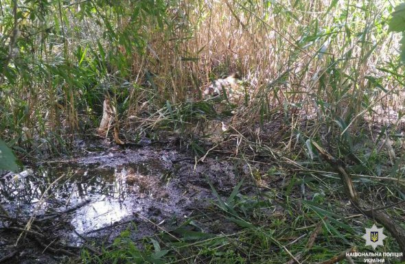 Зниклу 13-річну Єлизавету Корешнікову знайшли мертвою