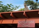 В кошачьем заповеднике на острове Ланаи проживают около 600 кошек