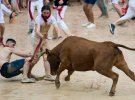 Фестиваль быков в Испании: появились удивительные фото