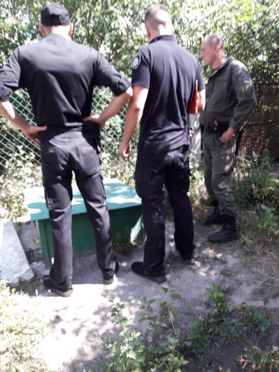 В одном из дворов Кропивницкого жители города нашли изуродованные тела щенков. У животных были отрезаны головы