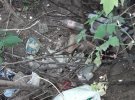В одному з дворів Кропивницького мешканці міста знайшли понівечені тіла цуценят. У тварин були відрізані голови