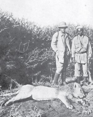 Владислав Городецький під час сафарі в Африці 1911 року вбив лева з відстані у кілька кроків. Полював біля гори Кіліманджаро в Кенії протягом двох місяців. Підстрелив понад 100 тварин