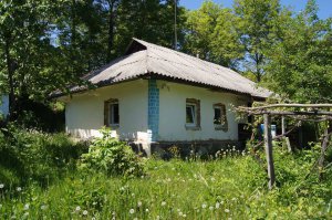 На Вінниччині іноземці взялися відбудовувати українські глиняні хати