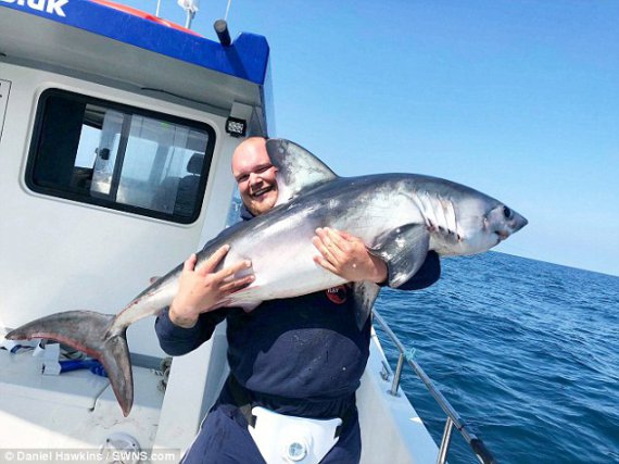 20 акул удалось поймать рыбакам у берегов Англии.