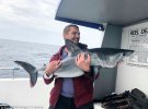 20 акул вдалося спіймати рибалкам біля берегів Англії.