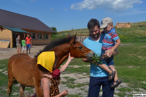 Ручне лоша гуляє територією й не боїться дорослих і дітей