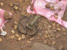 Унікальні речі знайдені під час розкопок