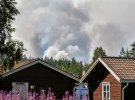 На территории Швеции зафиксированы 44 отдельные лесные пожары
