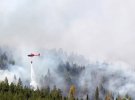 Швеція просить допомоги в країн Євросоюзу у боротьбі із стихійними пожежами, які вирують по усій країні