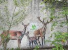 Вандалы разрисовали дома в Припяти логотипом компании Чернобыль Тур. Фото: Chernobl Tur