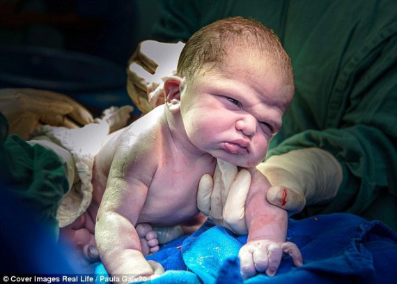 Фотограф фіксує перші миті життя новонароджених