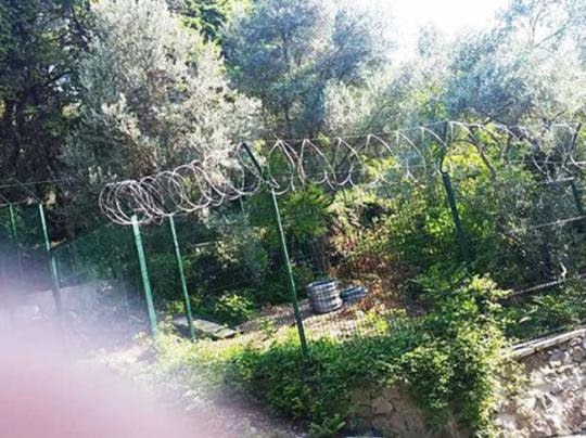 Російська влада обгородила Нікітський ботанічний сад у Ялті колючим дротом