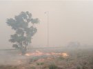 В Греции борются с большой лесным пожаром. Фото: Protothema.gr