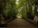 На початку ХХ ст. у Jardin d'Agronomie Tropicale збирали екзотичні рослини і тубільців з колоній Французької імперії. Тепер він стоїть в руїнах