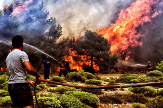 Количество погибших в результате масштабных лесных пожаров в Греции выросло до 79