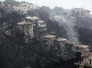 Кількість загиблих в результаті масштабних лісових пожеж в Греції зросла до 79