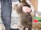 Винницкая область: предприниматель создал дома контактный зоопарк с удивительными животными