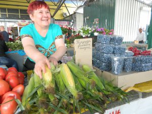 Надія Оверчук понад 10 років торгує домашньою кукурудзою на ринку Урожай у Вінниці. Продає по вісім гривень. Каже, найчастіше купують по десятку качанів