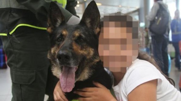 В Колумбии наркоторговцы дадут $ 70 тыс. Вознаграждения за голову полицейского собаки