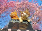 Коти Даікічі і Фокучан мандрують Японією у супроводі свого власника. Мають посади генерального менеджера і  секретаря його компанії