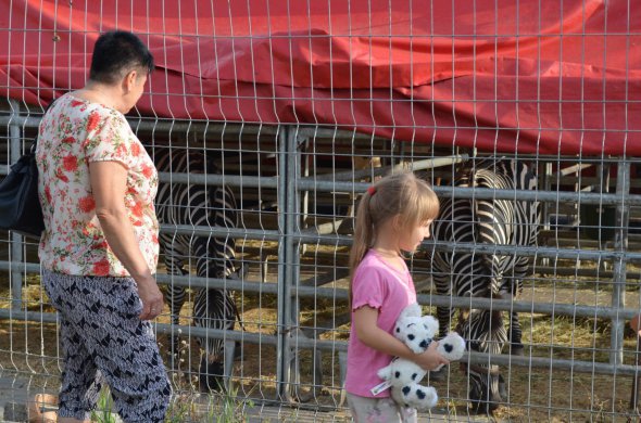 В Виннице протестовали за цирк без животных, которые создают аншлаг во время представления