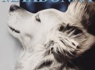 Фотограф разом із своїм псом Максом відтворили образи Мадонни