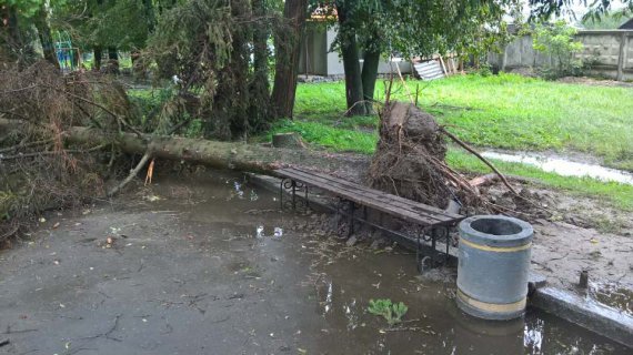 На Житомирщине мощный ураган повалил деревья и поперевертев киоски