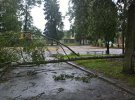 На Житомирщине мощный ураган повалил деревья и поперевертев киоски