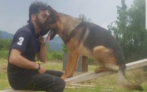 В Італії отруїли собаку, який врятував людей з-під завалів під час потужного землетрусу