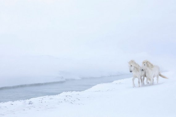 Дрю Доггет з Нью-Йорка представив унікальну фотосерію під назвою «У королівстві легенд»