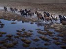 Дрю Доггет з Нью-Йорка представив унікальну фотосерію під назвою «У королівстві легенд»