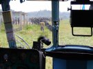 Украинские миротворцы отбили атаку боевиков в Демократической республике Конго