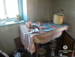 На территории Щербанивского сельсовета Полтавского района семья живет в заброшенном сарае
