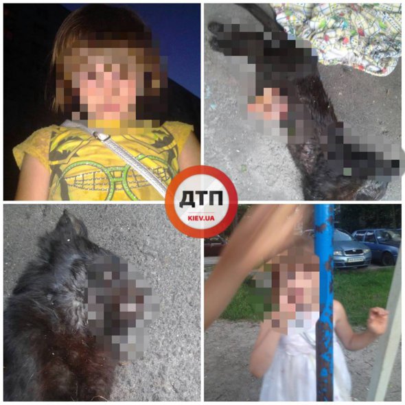 Київ: 6-річна дівчинка вбиває кошенят і виймає з них нутрощі, а одній дитині приставила ніж до горла