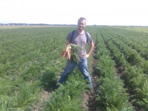 Петро Коваль показує моркву на своєму полі