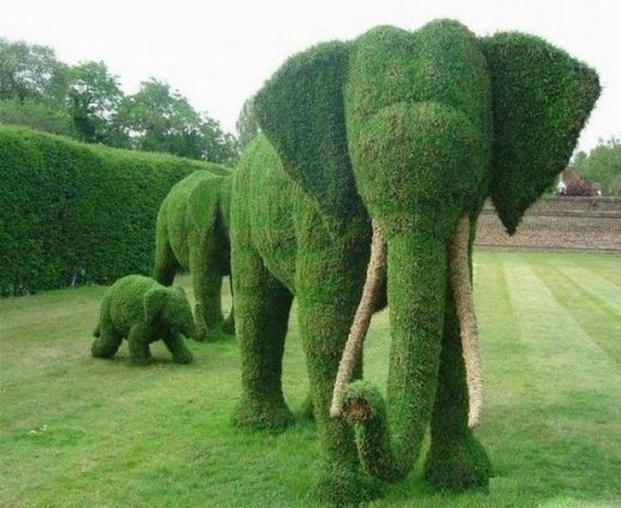 Деякі топіарі є справжнім шедевром садово-паркового мистецтва. ФОТО: pinterest.cl