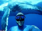 Дайвер сделал селфи с китом в океане вблизи Полинезийских островов